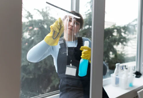 Nettoyage de vitres intérieures et extérieures à Foussignac